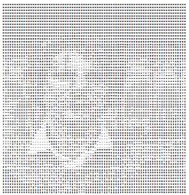 Raab - ASCII-Portrt